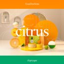 제일시네마 이미지