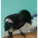 까치PC방 이미지