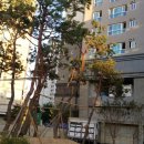 용산랜드공인중개사사무소 이미지