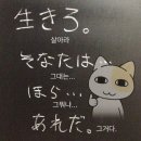 다섯 난장이 이미지