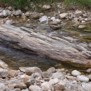 무릉도원면-44 이미지