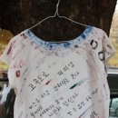 군청 앞 이미지