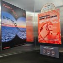 두호동 두무치 | 포항 회전목마 카페 오브레멘｜사진 찍기 좋은 대형 카페 후기