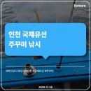 유선 | [체험 후기] 인천 국제유선 주꾸미 낚시