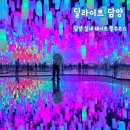 달이 비추는 곳 | 담양 실내 데이트 가볼만한곳 딜라이트 전시회 입장료 할인 솔직후기