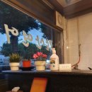 갈산연어