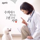 제일동물병원 이미지