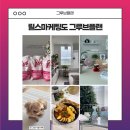 그루브플랜