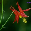 케이렌트카 이미지