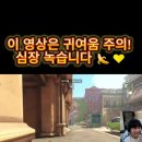 바나나차차 오랜만에 보자 이미지