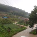 노을칸타타 이미지