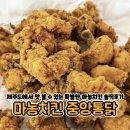 제주마농 | 제주 마농치킨 중앙통닭 내돈내산 솔직후기 조금 아쉬웠어요