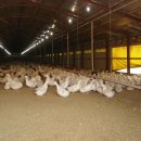 월계농장 이미지