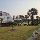 제주 개구리펜션 가족독채펜션 | 제주독채펜션 가족여행 후기, 서귀포 네이플하우스 독채풀빌라 솔직 체험기