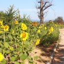 가야농장 이미지