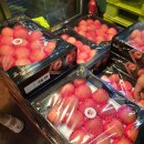 모녀청과 이미지