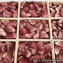 경희피어라한의원 이미지