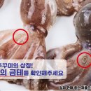 서해냉동 이미지