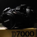 니콘 D7000 + 탐론 렌즈 18-270mm VC PZD 이미지