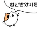 나빛뷰티