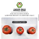 농업회사법인 (주)해우리팜1농장 | (주)영파머스농업회사법인, GAP 완숙토마토🍅