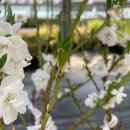 대림가든 이미지