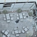 어쩜