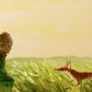 와이즈앤와이드 이미지