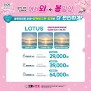 으뜸플러스안경새롬점 이미지