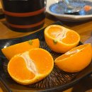 윤참치엔스시 네이버블로그