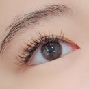 JC소프트 | 일산 마두 속눈썹 연장 에그래쉬앤네일 후기