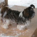 만수약수터 이미지