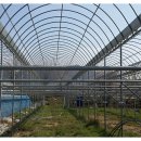 성공농장 이미지