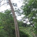 한계령우와교민박 이미지