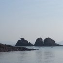 (주)동감투어