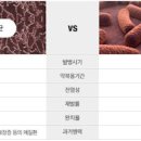 비결핵성 원인 및 (비결핵성항상균) 이미지