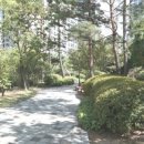 중원종로약국 이미지