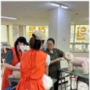 베스트의정부애견미용학원