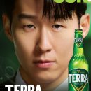 테라 이미지