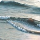 파도소리 이미지