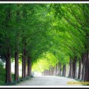 곡성-136 이미지