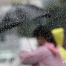 광장18호 이미지