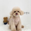 루앤오 이미지