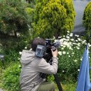 집시펜션 이미지