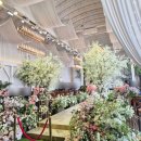 중부대로27 | 수원 더아리엘:: 웨딩홀 투어후기 (밝은 단독홀) | 27년 견적공유