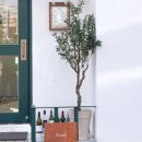 압구정-234 이미지