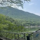 성지곡지 이미지