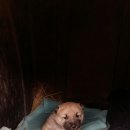 두상농장 이미지