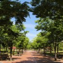 도란도란 그림책 산책 이미지