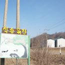 석송목장 네이버블로그